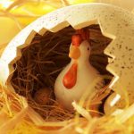 Η κότα έκανε το αυγό ή το αυγό την κότα; – Νέα έρευνα προσπαθεί να δώσει απάντηση στο αιώνιο ερώτημα