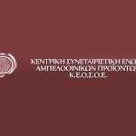 Τρύγος 2026: Η διαρθρωτική προσαρμογή συνεχίζεται στο Νότιο Ημισφαίριο για αναδιάταξη μεγέθους και αποφυγή πλεονασμάτων